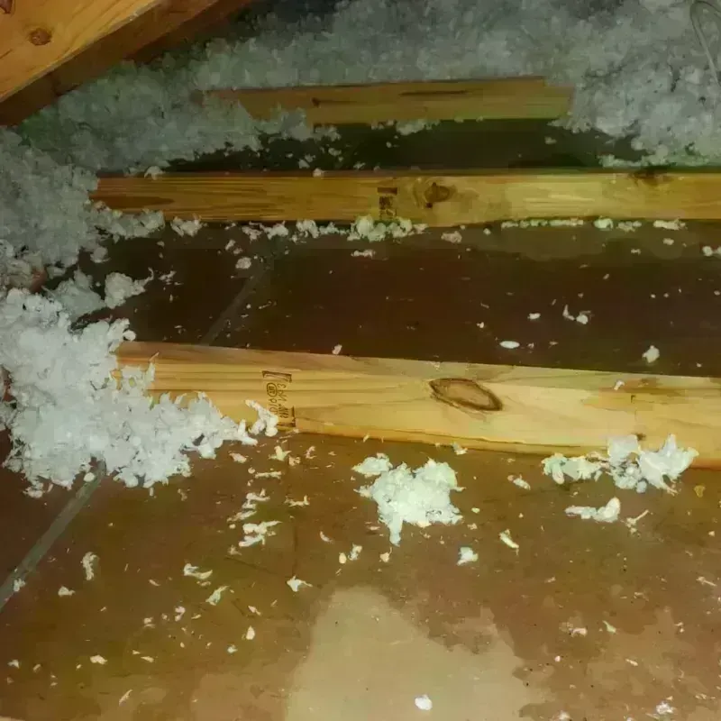 Attic Water Damage in Madbury, NH